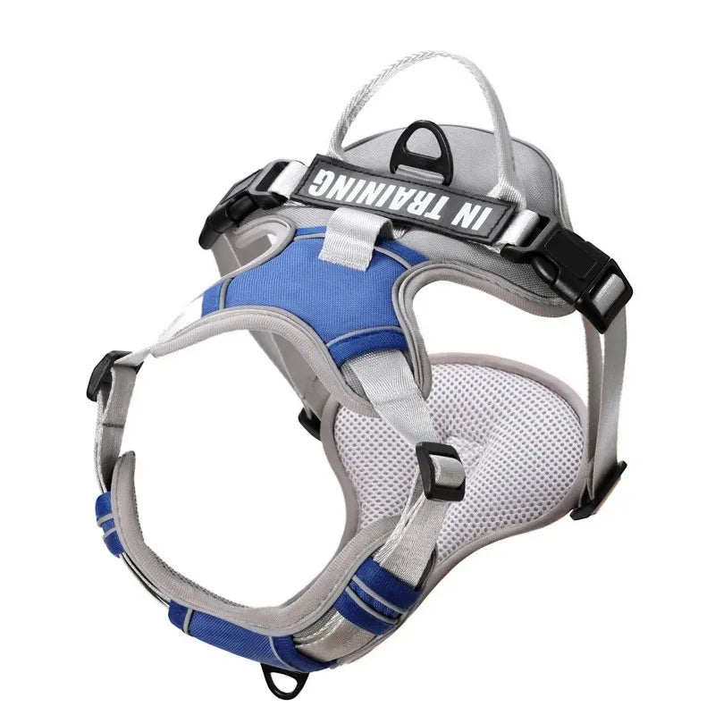 Chest for Dog Harness for Dogs Puppy Accessories Collars Harnesses Leashes Pet Dog Products Collar Leash