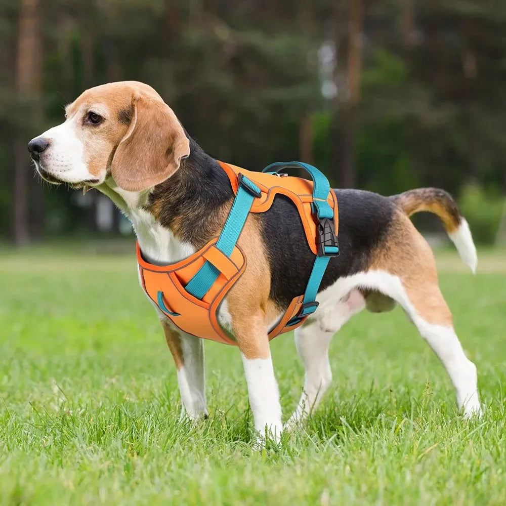 Dogs Chest Strap Dog Harness and Leash Set Small Pet Supplies Puppy Accessories Big Breeds Pets Backpack Large Collar