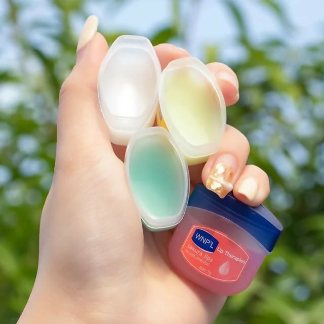 6 Piece Moisturising lip balm