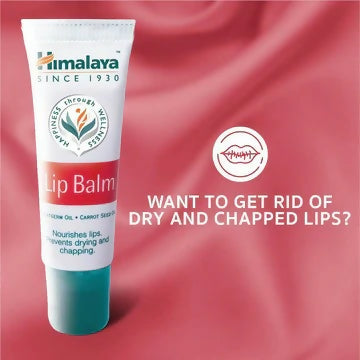 LipBalmBenefits_360x_c311663f-83e0-4e90-880a-66658cdb8991_800x800