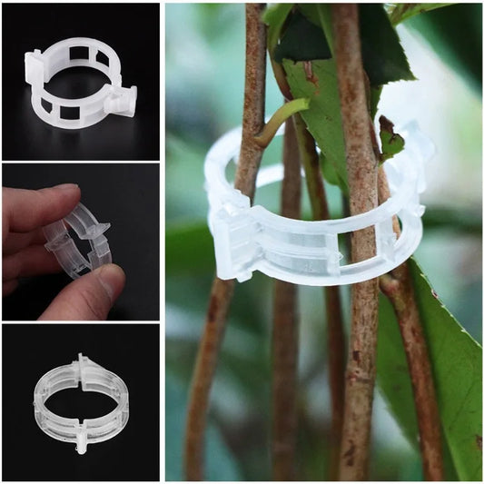 50/100pcs Reusable Plastic Plant Clips Supports Connects Protection Grafting Fixing Tool Gardening Supplies for Vegetable Tomato