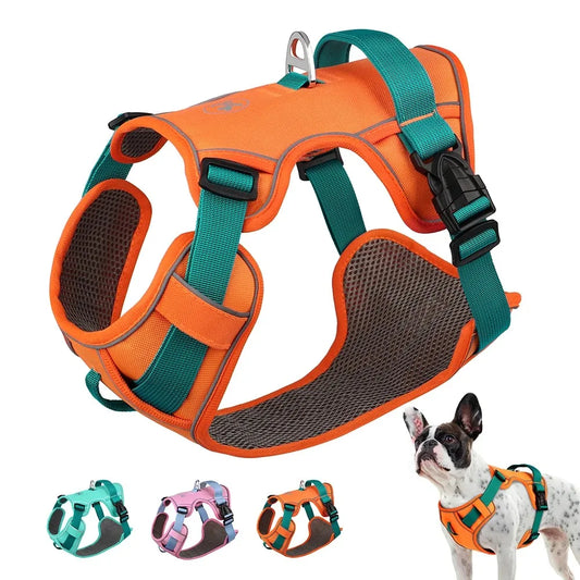 Dogs Chest Strap Dog Harness and Leash Set Small Pet Supplies Puppy Accessories Big Breeds Pets Backpack Large Collar