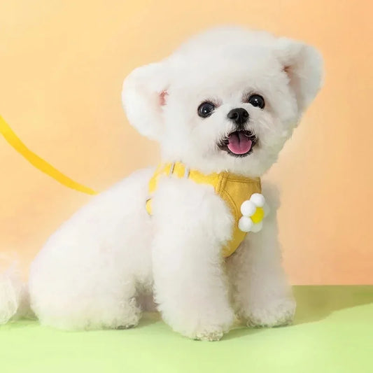 Cats Collar Dog Products Puppy Harness Tactical Vest Chest Leash Accessories Pet Supplies Small Dogs Collars Things Pets Product