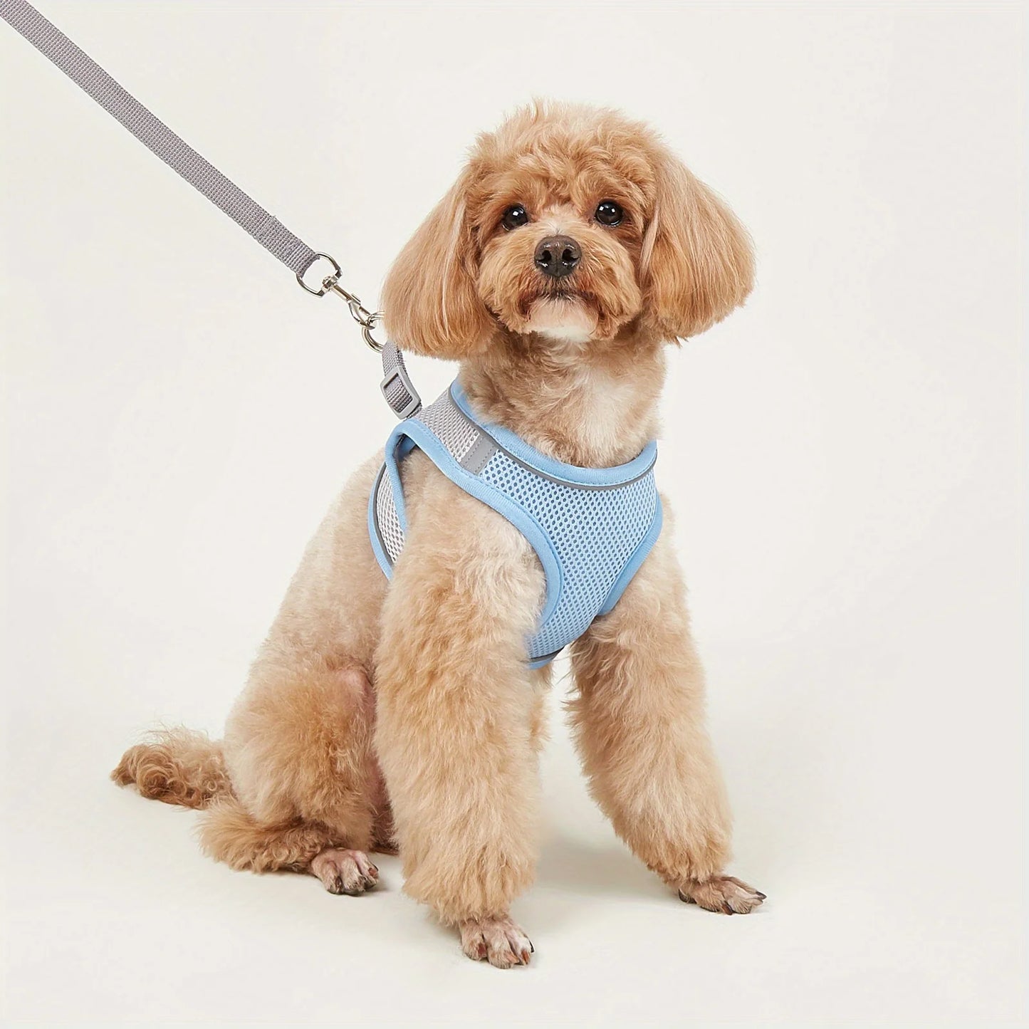 Leash Dog Reflective Soft Mesh Harness Small Medium Breeds Reflective Pets Dogs Accessories Collar Collars Flexi Vests