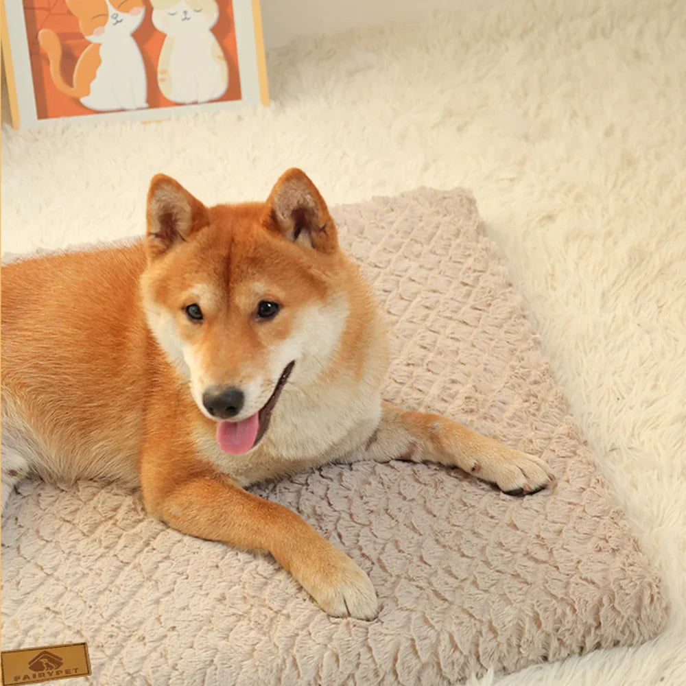 Dog Beds Pet Bed Dogs Blanket Pets Products Large Sofa Breeds Cats Big Cushion Medium Cushions Fluffy Kennel Puppy Bed