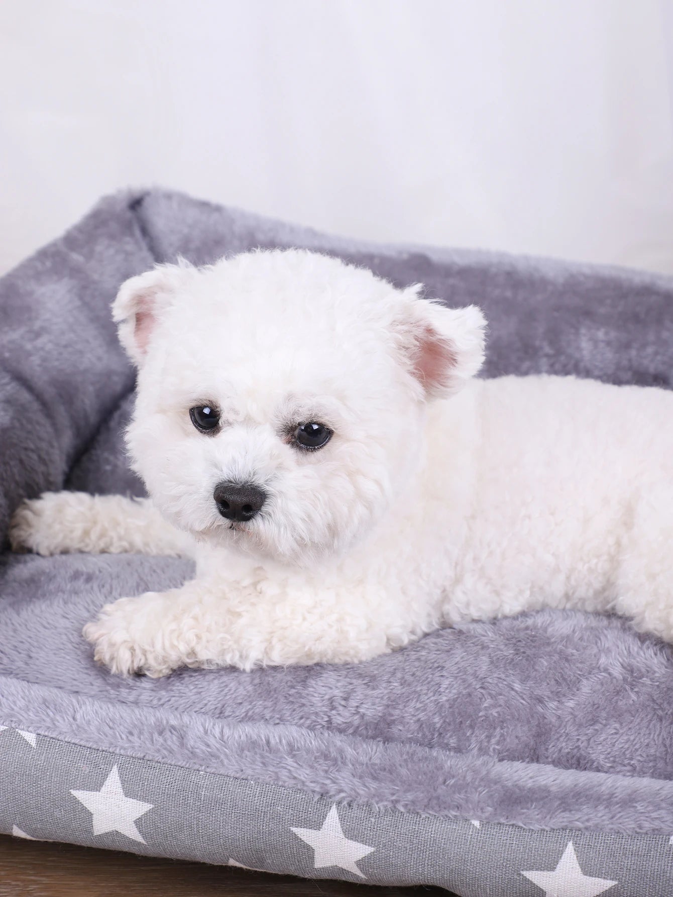 Dog Mat Beds for Dogs Large Basket Small Plush Bed Pet Medium Cats Kennel Sofa Warm Accessories Pets Cushion Washable Puppy Big