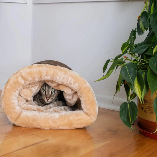 Cats Bed Basket Accessory House Kitten Houses and Habitats Accessories All Pet Products Dog Mat Supplies Beds Puppy Things Goods