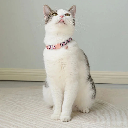 Leash Material Cat Accessories Petty Large Cats Collar Leather Harness Pet Products Retractable Collars Supplies Pets Accessory