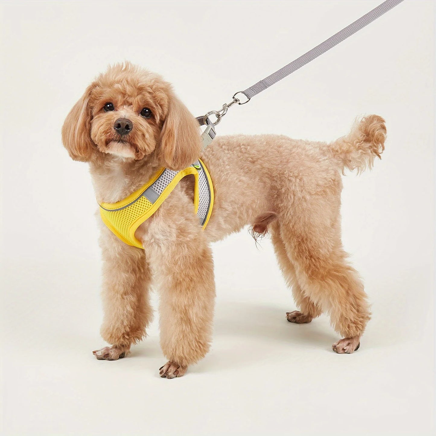 Leash Dog Reflective Soft Mesh Harness Small Medium Breeds Reflective Pets Dogs Accessories Collar Collars Flexi Vests