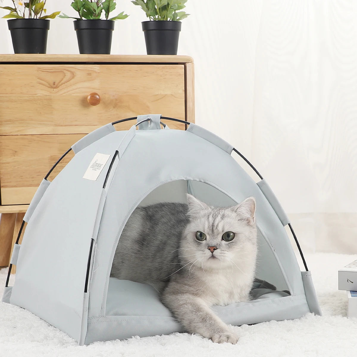 House for Cats Tent Sofa Beds & Furniture Pet & Furnitures Products Accessories Tents Cushions Supplies Winter Bed Kitten Basket