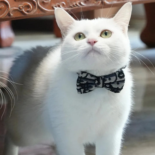 Cats Leash Stuff Pet Collar Cute Accessories Collars Harnesses Leads Kitten Small Animal Detachable Harness Fashion