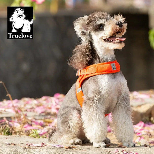 Pet Supplies Chest Strap Dogs Accessories Tactical Vest Dog Harness Puppy Leash Collar Things Big Cats Collar