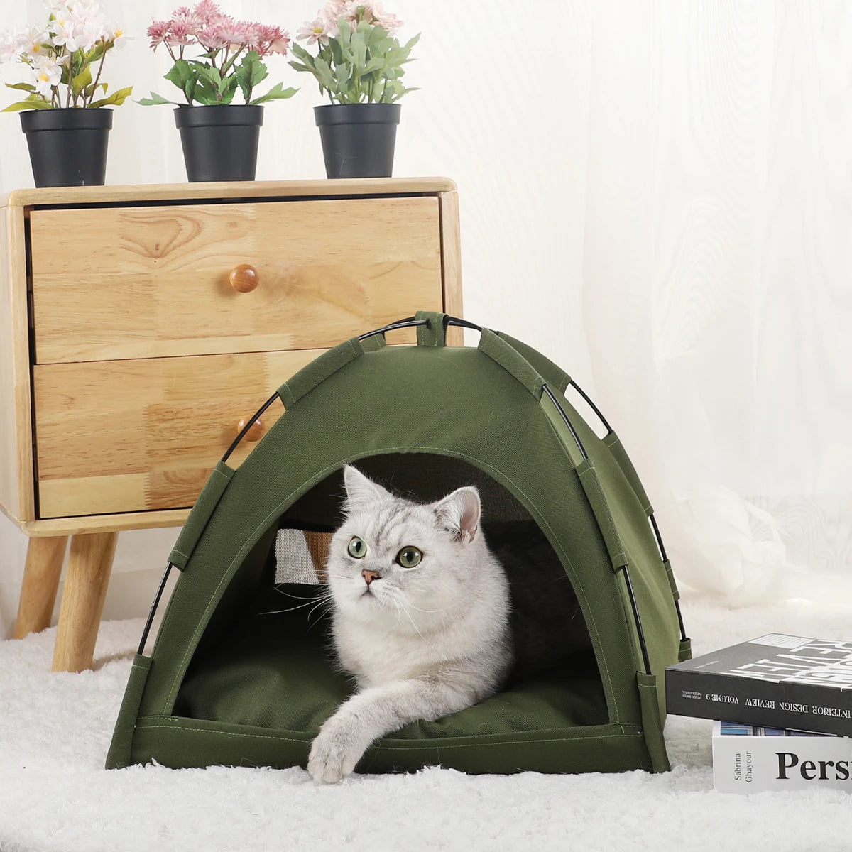 House for Cats Tent Sofa Beds & Furniture Pet & Furnitures Products Accessories Tents Cushions Supplies Winter Bed Kitten Basket