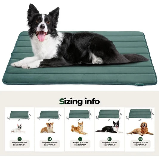 Summer Cooling Pet Bed Sofa Dog Accessory Big Cushion Pets Dogs Baskets Large Beds Products Small Cushions Cats Mat Fluffy Bad