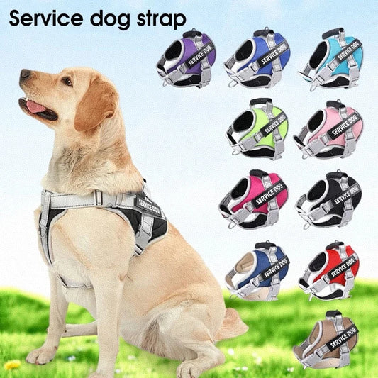 Puppy Harness for Dogs Accessories Dog Supplies Collars Harnesses Leashes Big Dog Leash Pet Collar Small Pets Things