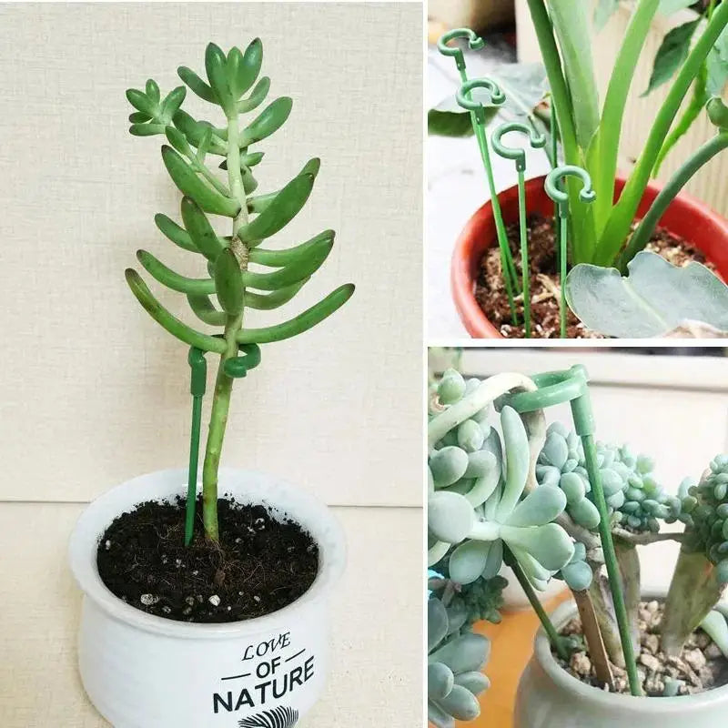 10pcs Plant Support Potted Fixing Tool Reusable Garden Flower Holder for Succulents Vegetables Vine Climbing Bracket