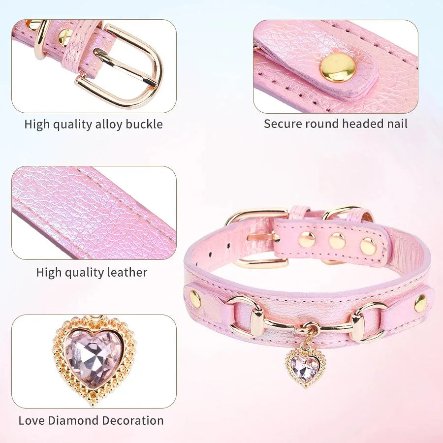Cats Necklace Stuff Pet Collars Harnesses and Leashes the Goods Accessories Kittens Belt Harness Collar Puppy Products