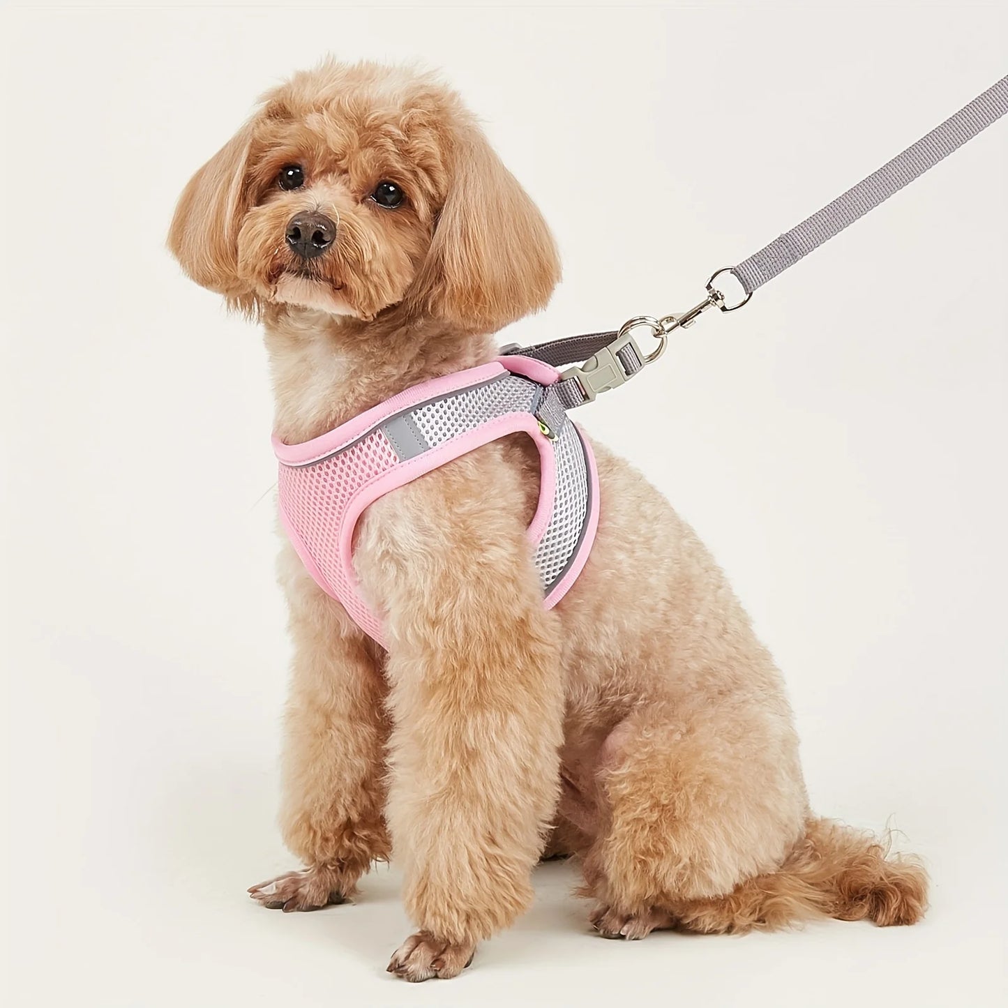 Leash Dog Reflective Soft Mesh Harness Small Medium Breeds Reflective Pets Dogs Accessories Collar Collars Flexi Vests