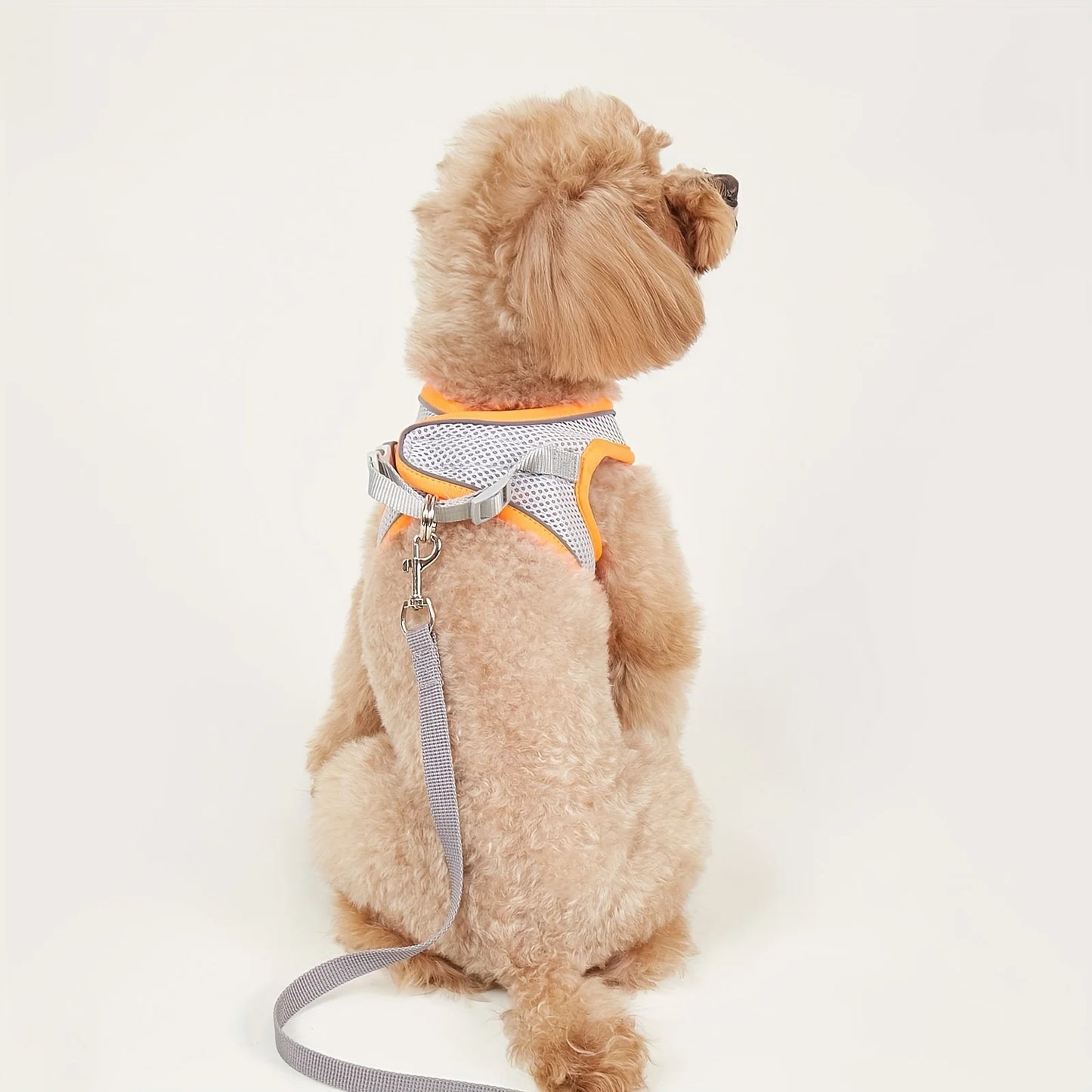 Leash Dog Reflective Soft Mesh Harness Small Medium Breeds Reflective Pets Dogs Accessories Collar Collars Flexi Vests