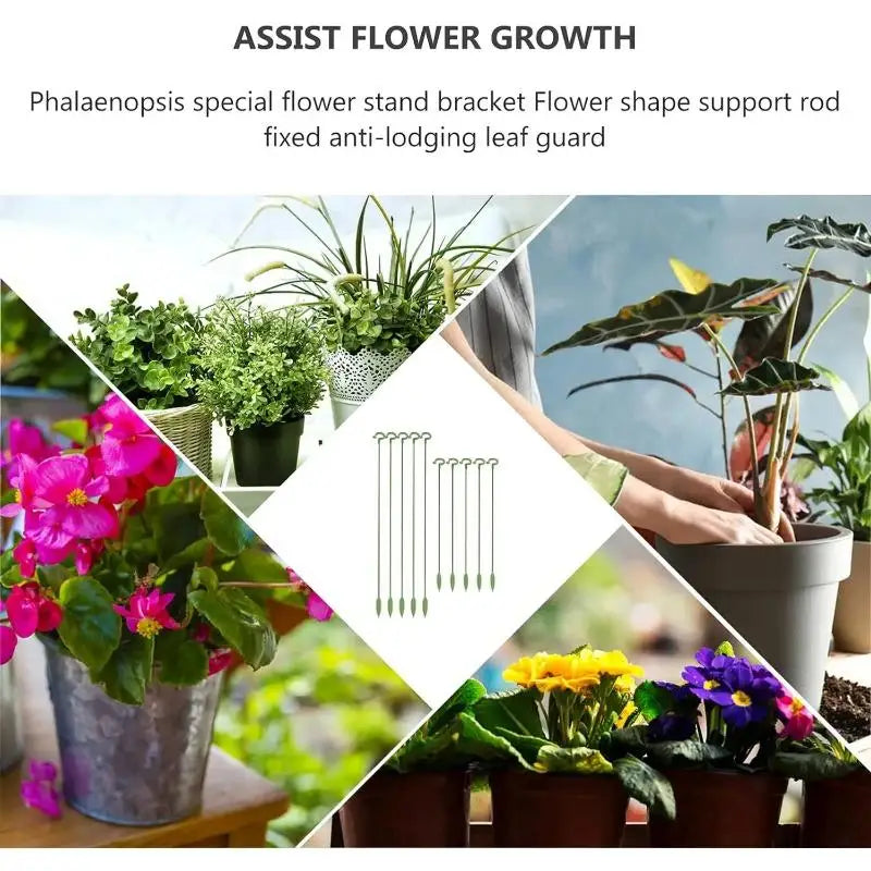 10pcs Plant Support Potted Fixing Tool Reusable Garden Flower Holder for Succulents Vegetables Vine Climbing Bracket