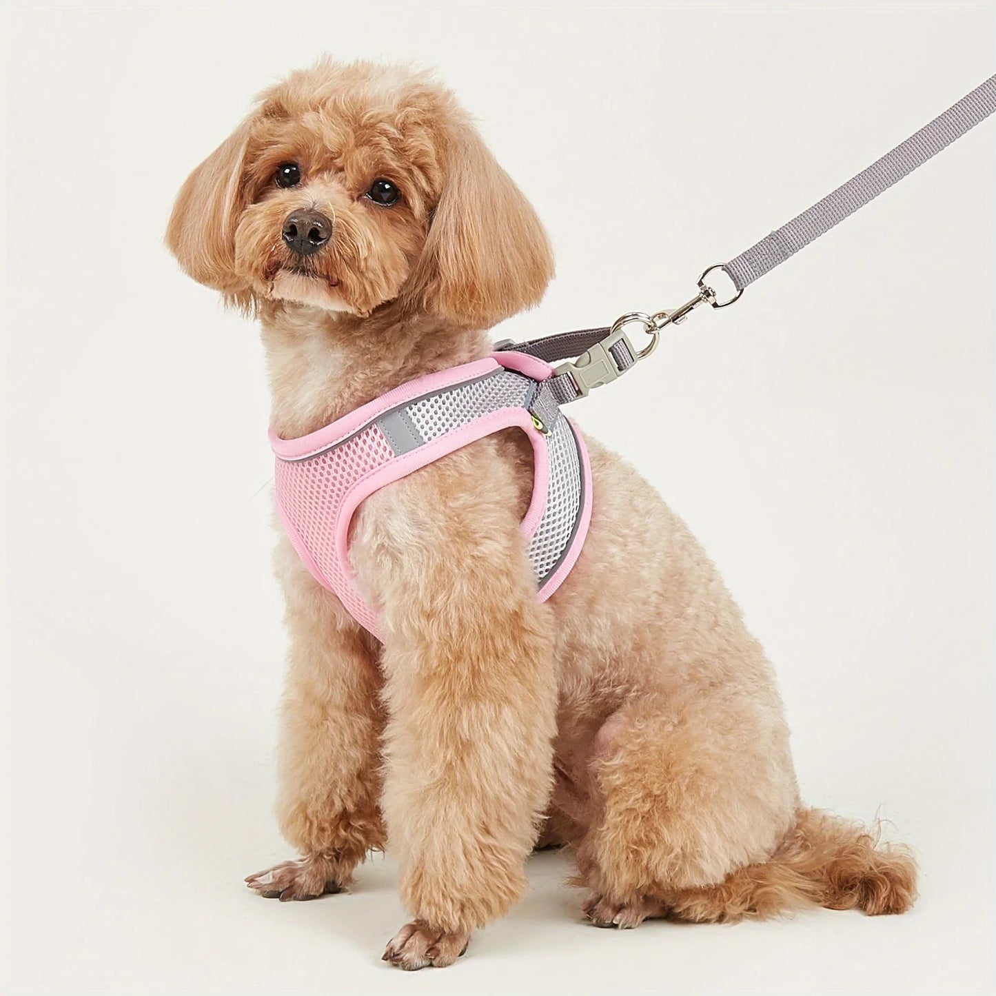 Leash Dog Reflective Soft Mesh Harness Small Medium Breeds Reflective Pets Dogs Accessories Collar Collars Flexi Vests