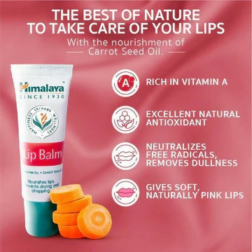 LipBalm_360x_5539e372-adb2-47a1-9267-cf8390eb021e_800x800