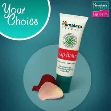 LipBalm1_360x_2aa3ee15-7a07-4b26-bb27-d9cf91464776_800x800
